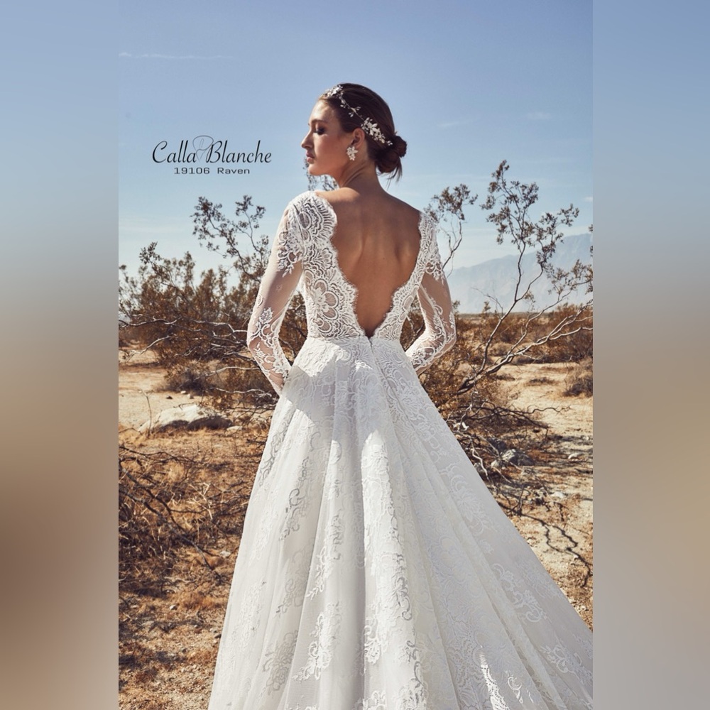 Calle Blanche Raven Lace Wedding Dress - Picture 3 of 8